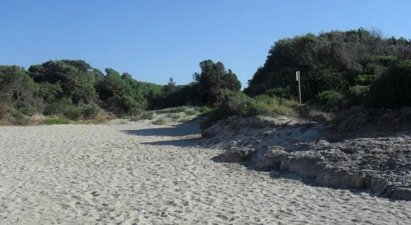 Trullo Sottoleucalipto