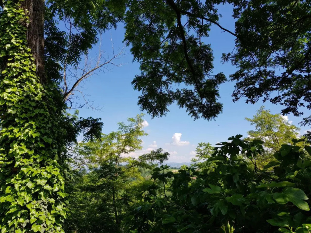 La Collina dei Passeri