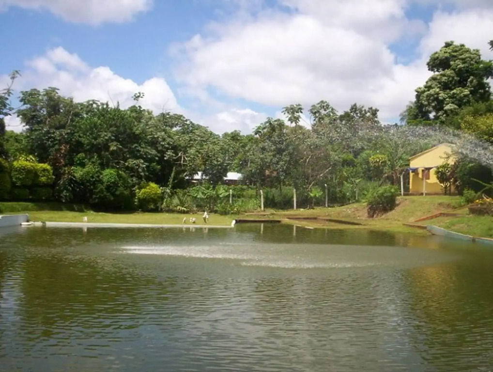 Residencial Amigos