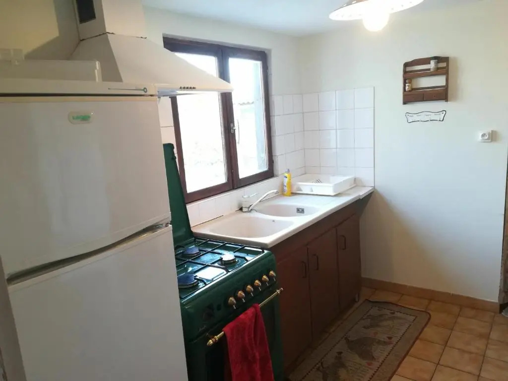 Gîte indépendant avec terrasse et accès direct au lac - FR-1-590-223
