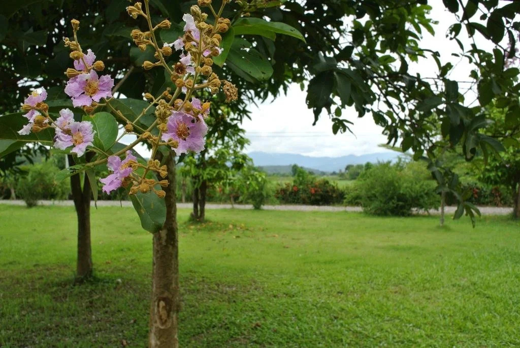 Suan Fasai Resort