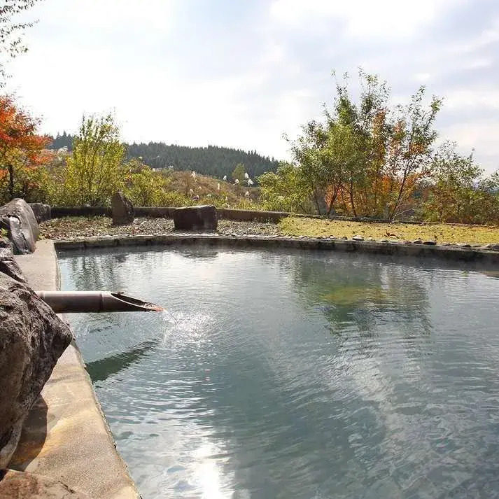 Ogiso