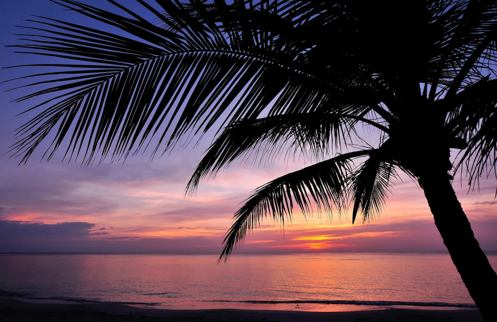 Mayan Princess Beach & Dive Resort