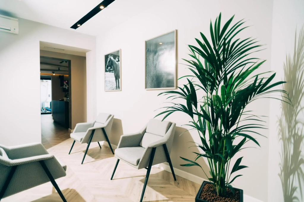 Hotel Stela Center