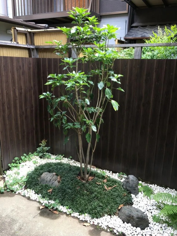 Shiki Homes HARU