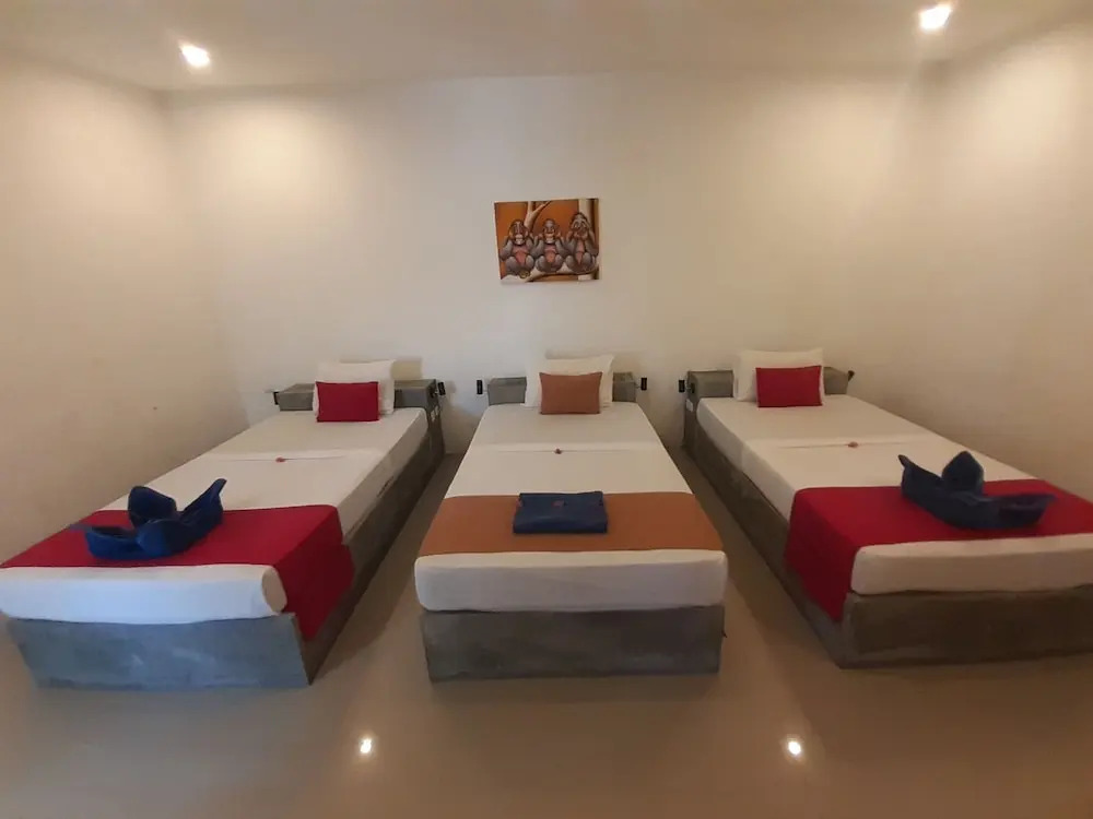 Dream Hotel