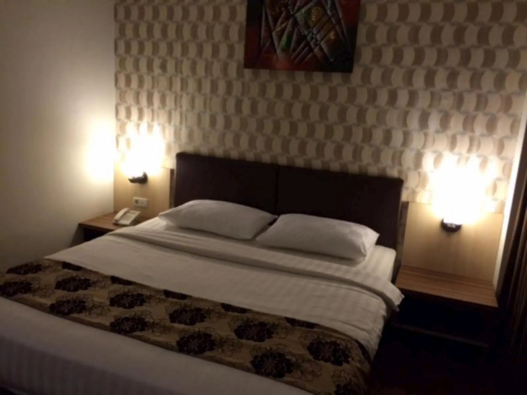 Hotel Palmy
