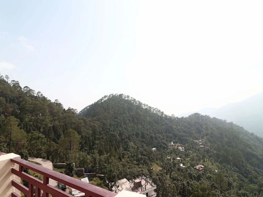 Green Roof Hotel