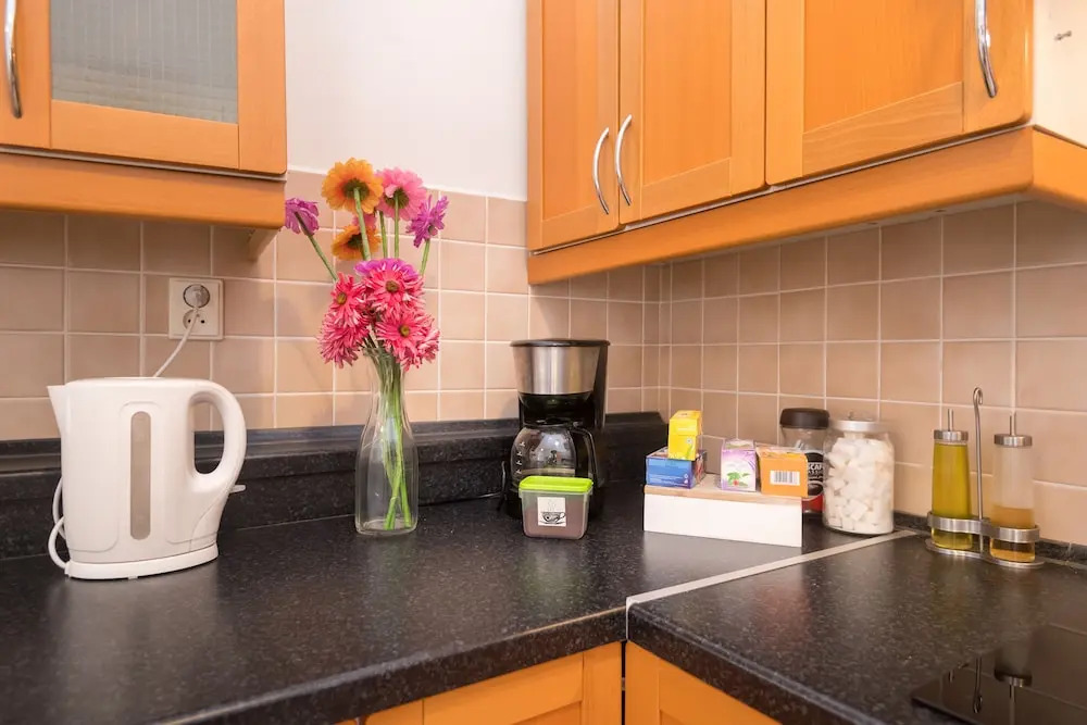 Spacious Apartments in Heart of Prague