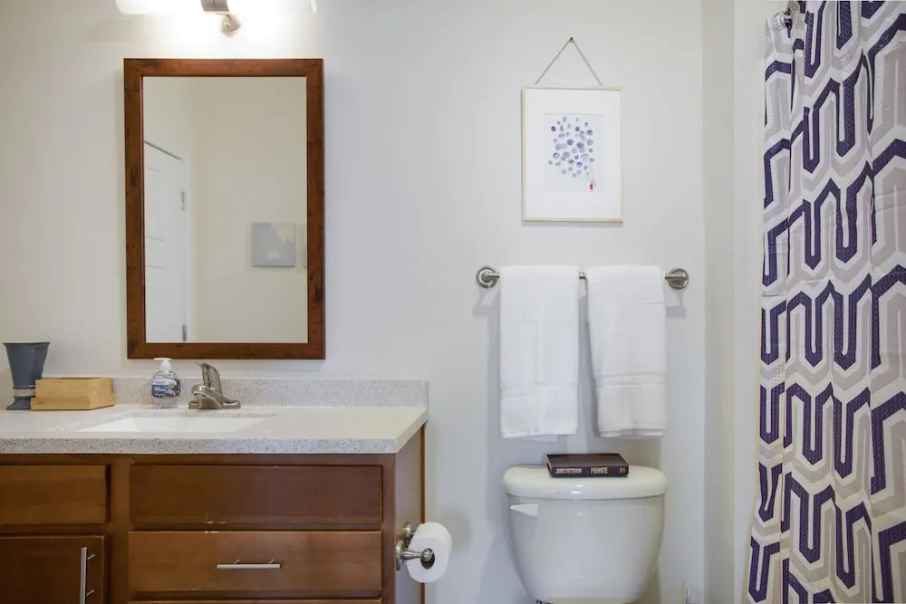 Plaza Midwood 1 and 2 BR Apts with Parking by Frontdesk