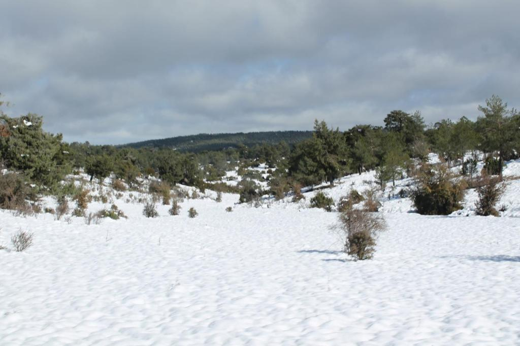 Albergue Tejadillos