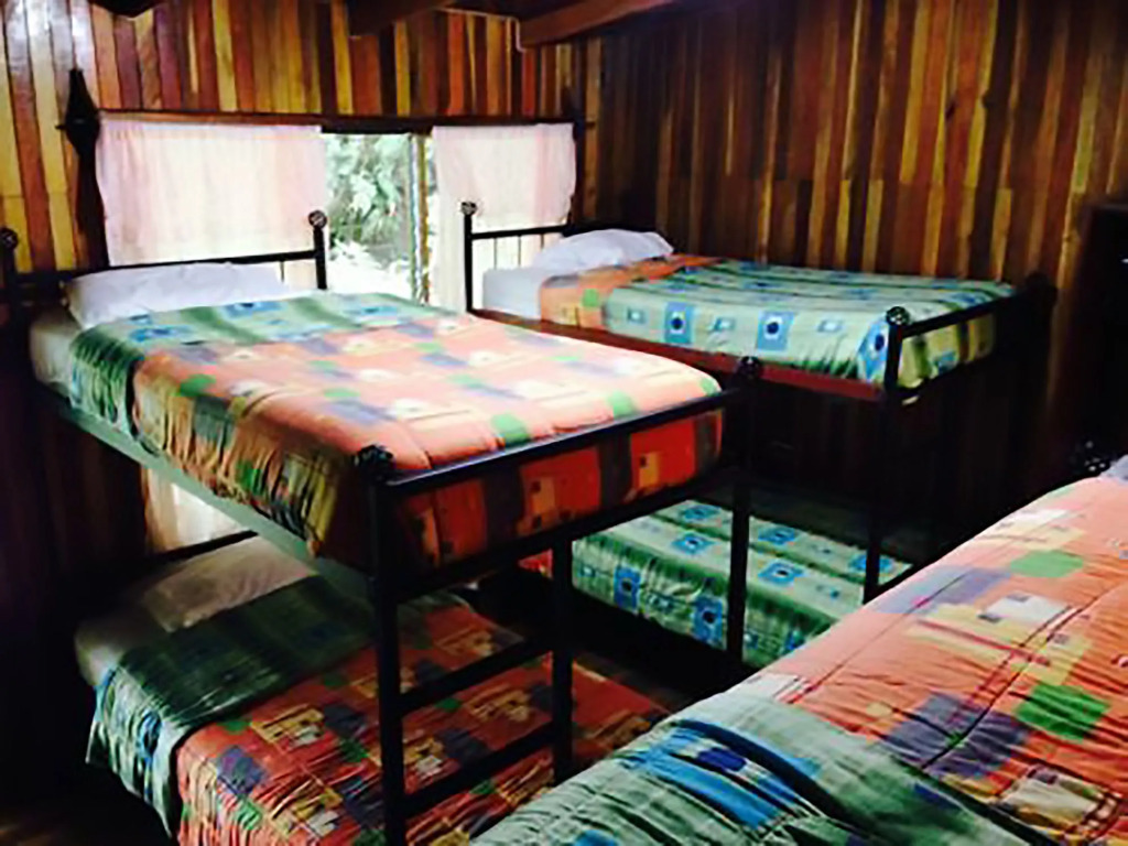 Jaguarundi Jungle Lodge - Monteverde