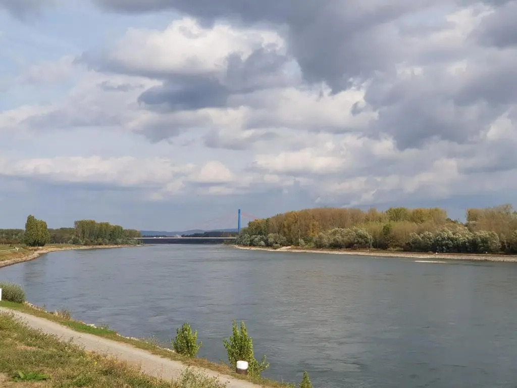 Wohnen direkt am Rhein, Zentrums- und Domnah, 55QM