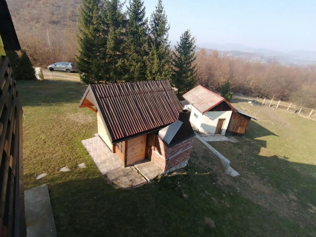 Zuta Kuca Sunca