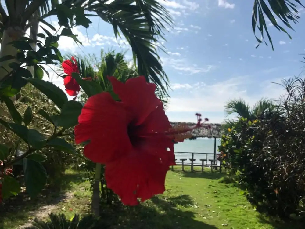 Hotel Puerto Gaviota