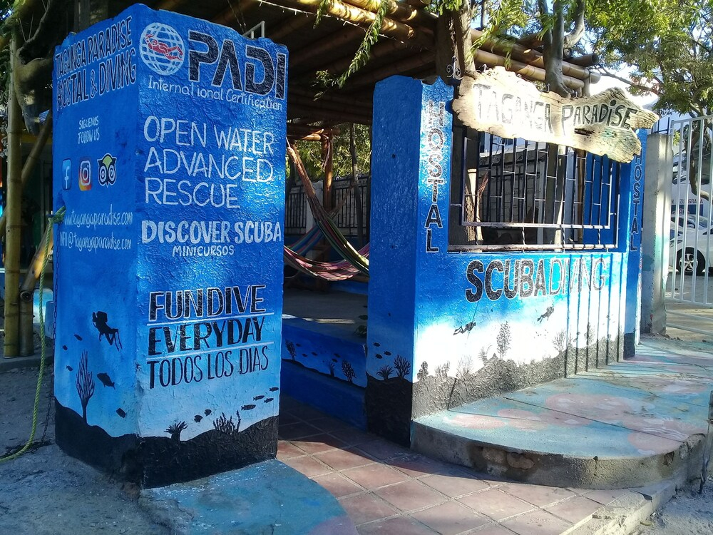 Taganga Paradise Hostal & Diving - Hostel