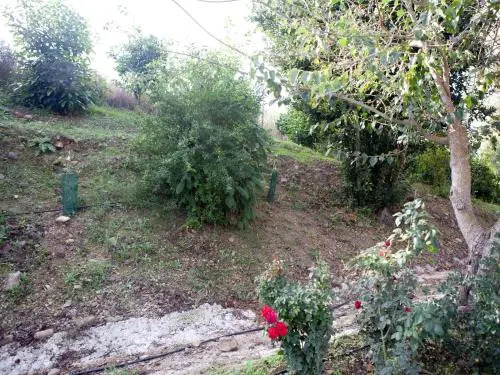 Casa Rural Vega el Dorado
