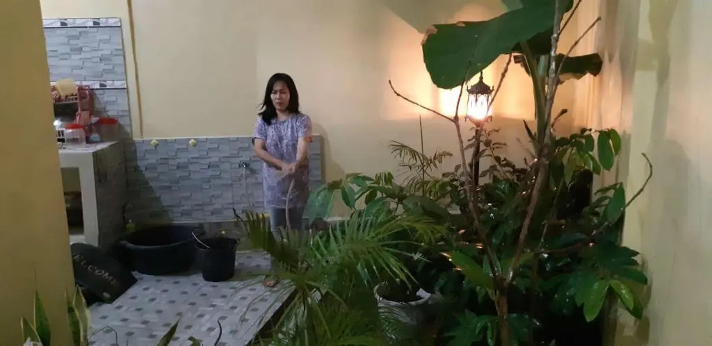 DARRA HOMESTAY TORAJA