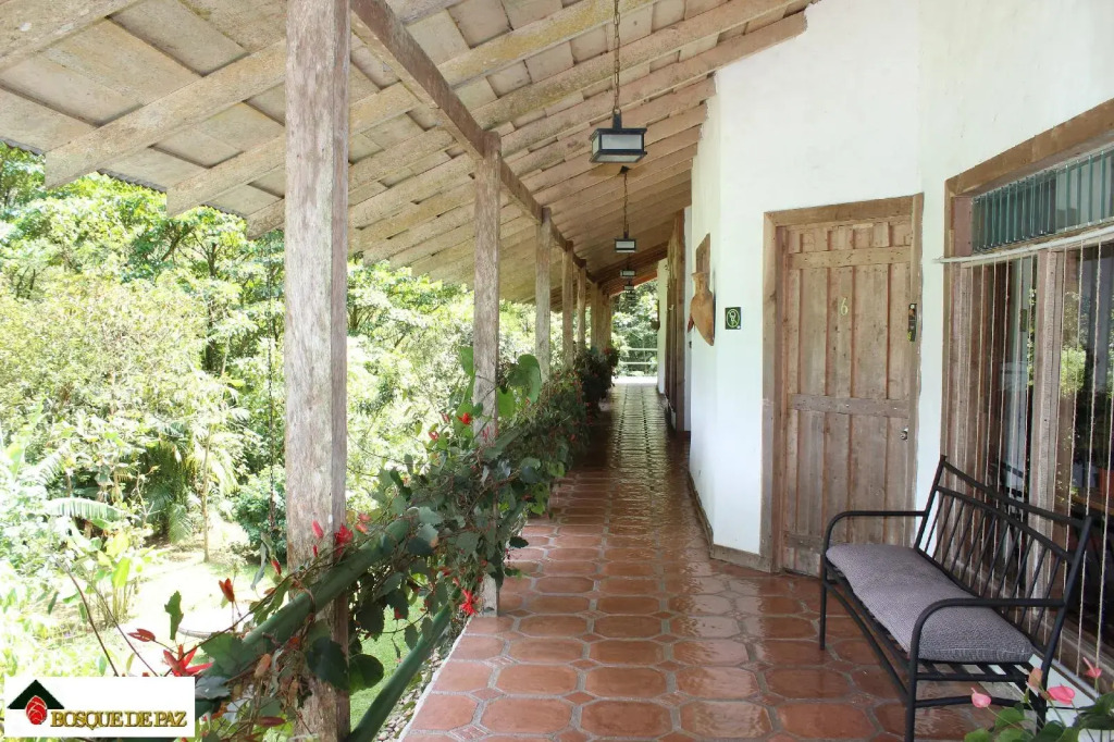 Bosque de Paz