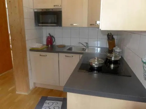Apartment Les Erables