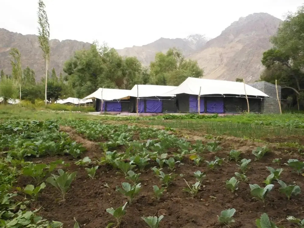 Dowa Deluxe Camp