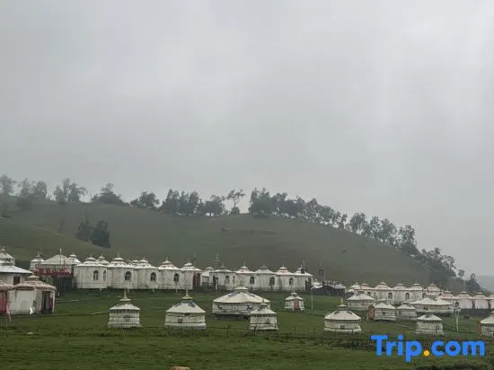 Lao Banzhang Inn (Guanshan Grassland Scenic Area)