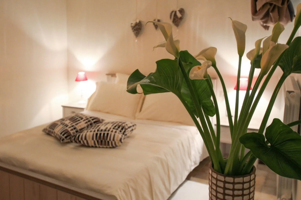 Apartment With 2 Bedrooms in Alberobello, With Wonderful City View and