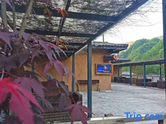 Meet 31 Jian Guesthouse