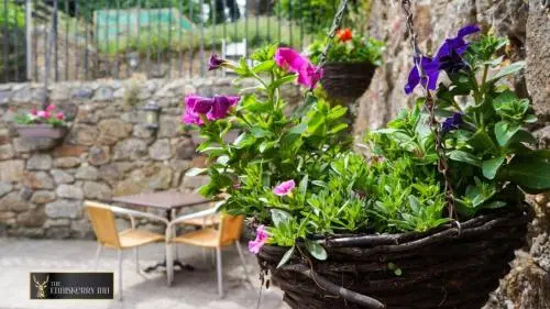 The Enniskerry Inn