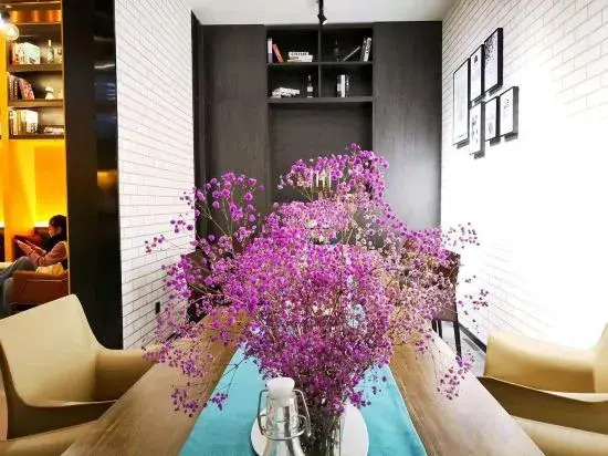 Y  Hotels