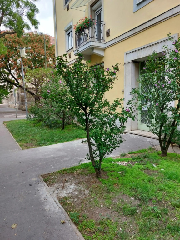 Family Friendly Apartman