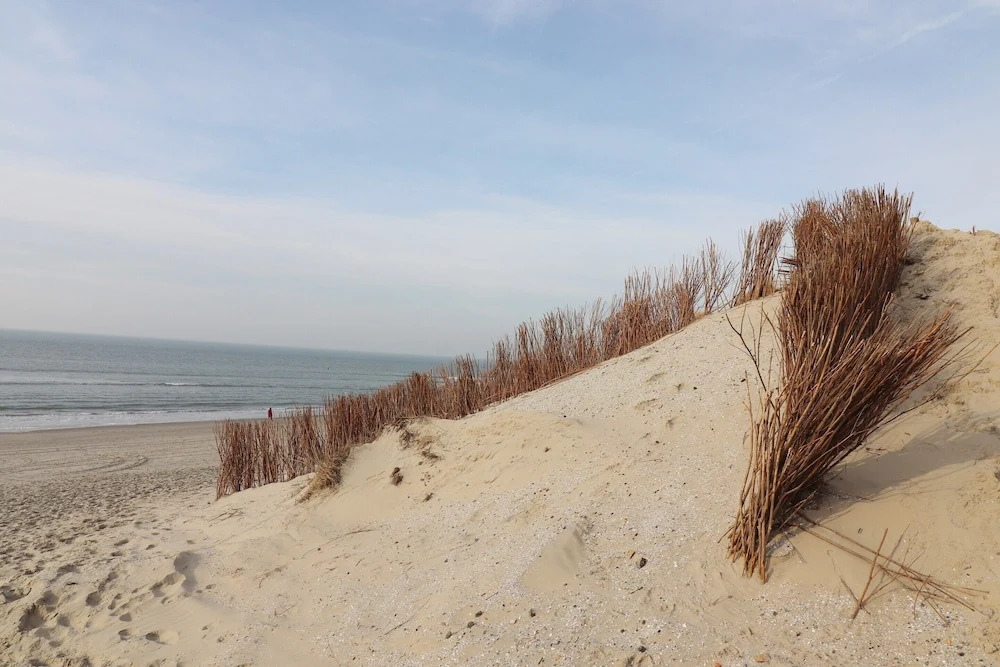 Nice Chalet in Hollum Near Dunes