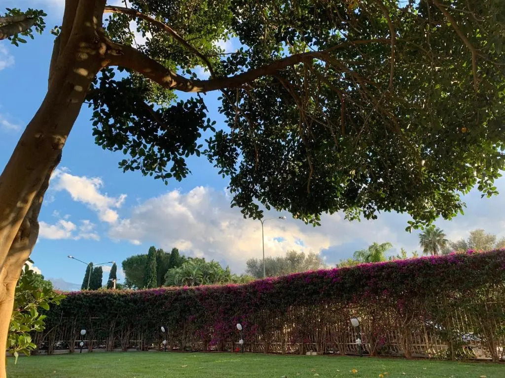 Il Giardino di Venere