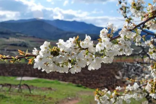 Casa Rural Natura