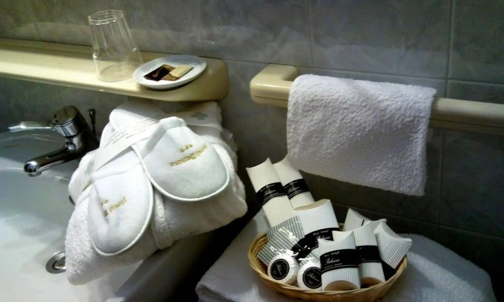 Hotel Benaco