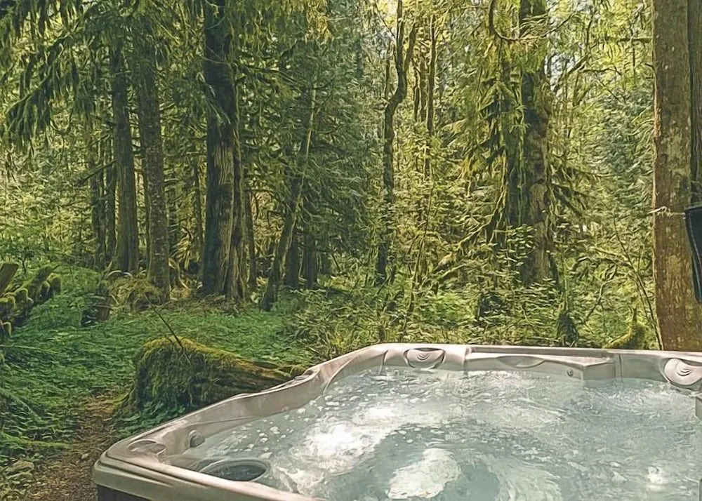 Cozy Bear Cabin