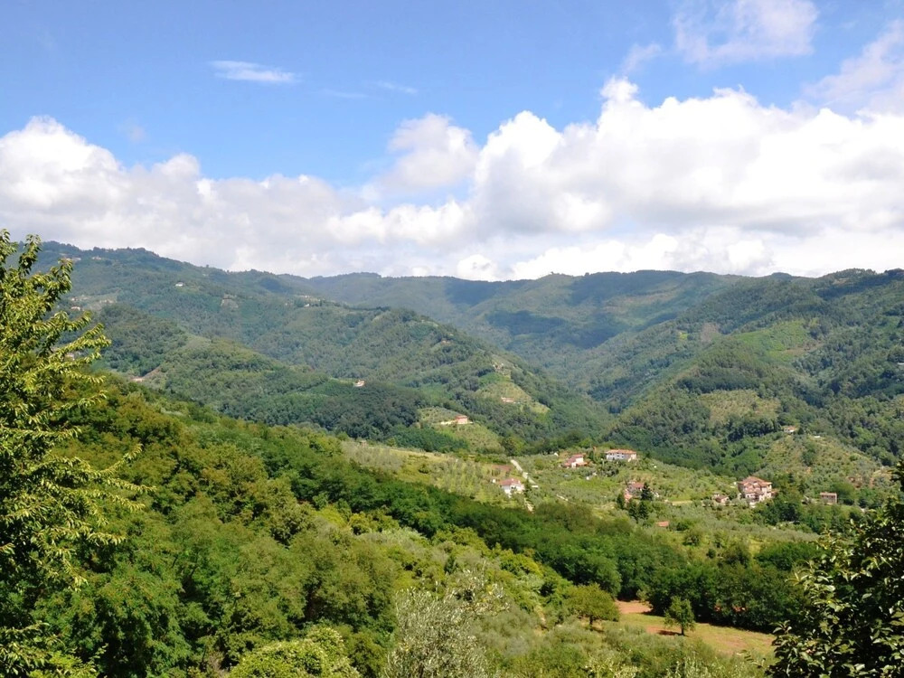 Villa in the Tuscan Hills: Relax in a Magnificent Landscape