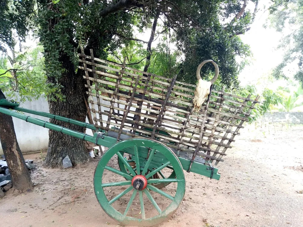 Saman Resort Yala