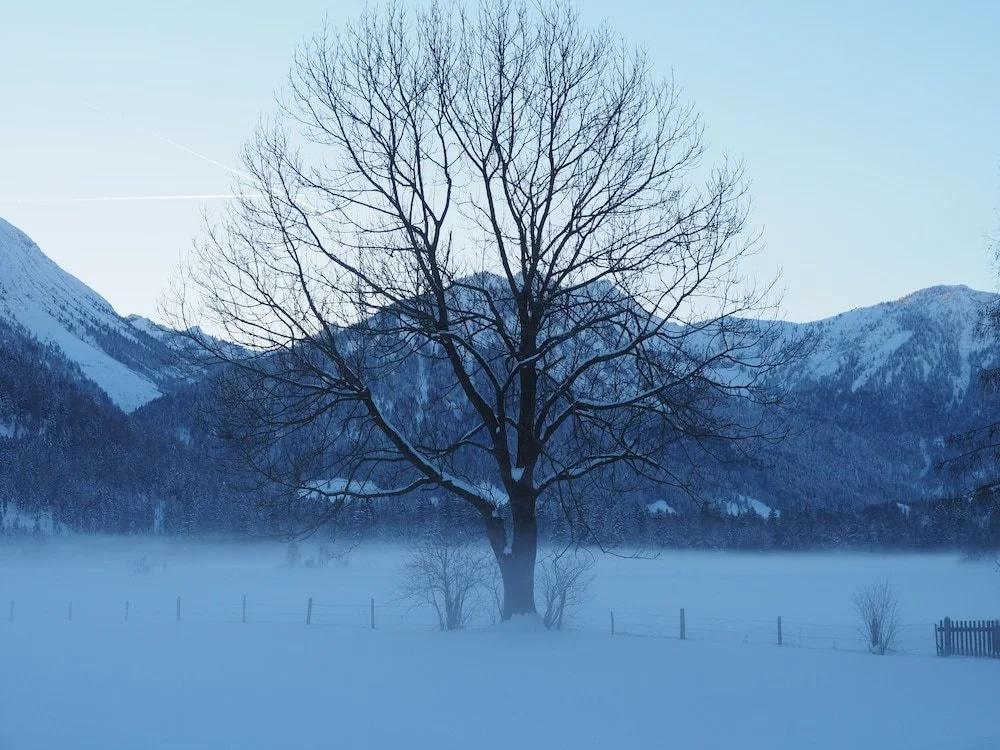 Alpenhof