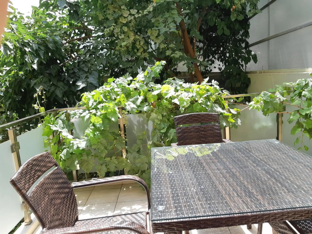 Charming 2 Bedroom Apartment near the Citys Biggest Mall