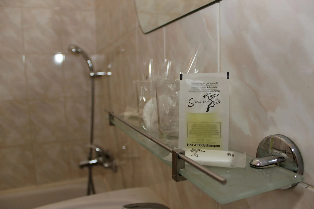 Hotel Meran