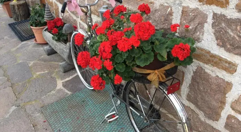 B & B il Nido