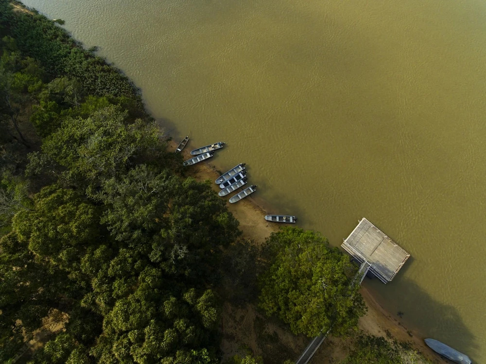Porto Jofre Pantanal