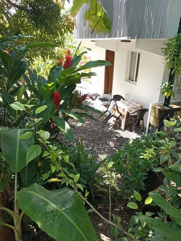 Bungalow Milo