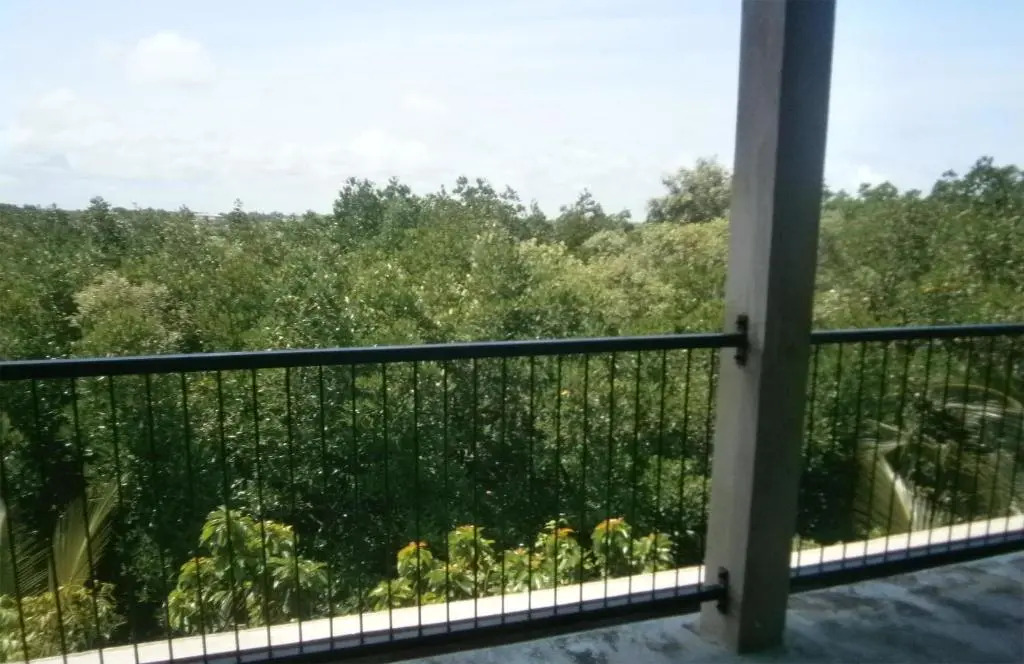 Mangrove Lagoon View