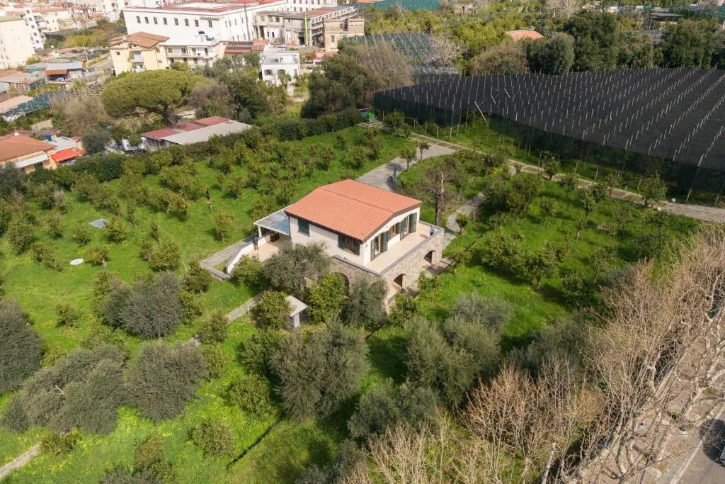 Tenuta Di Leva
