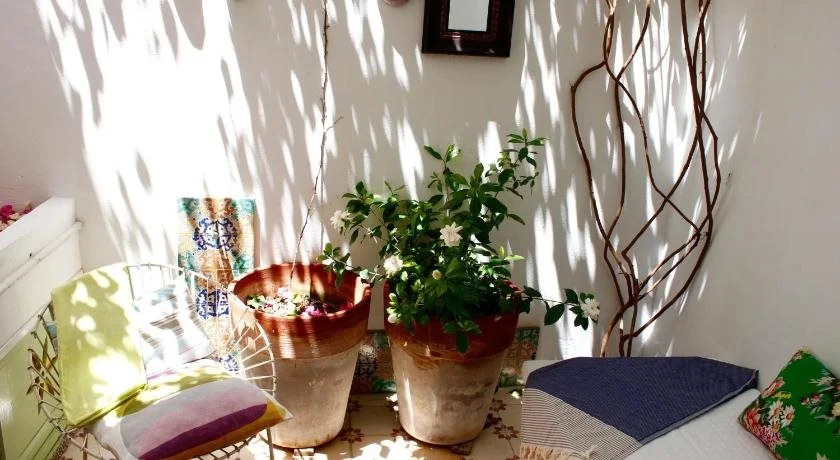 Casa Limon
