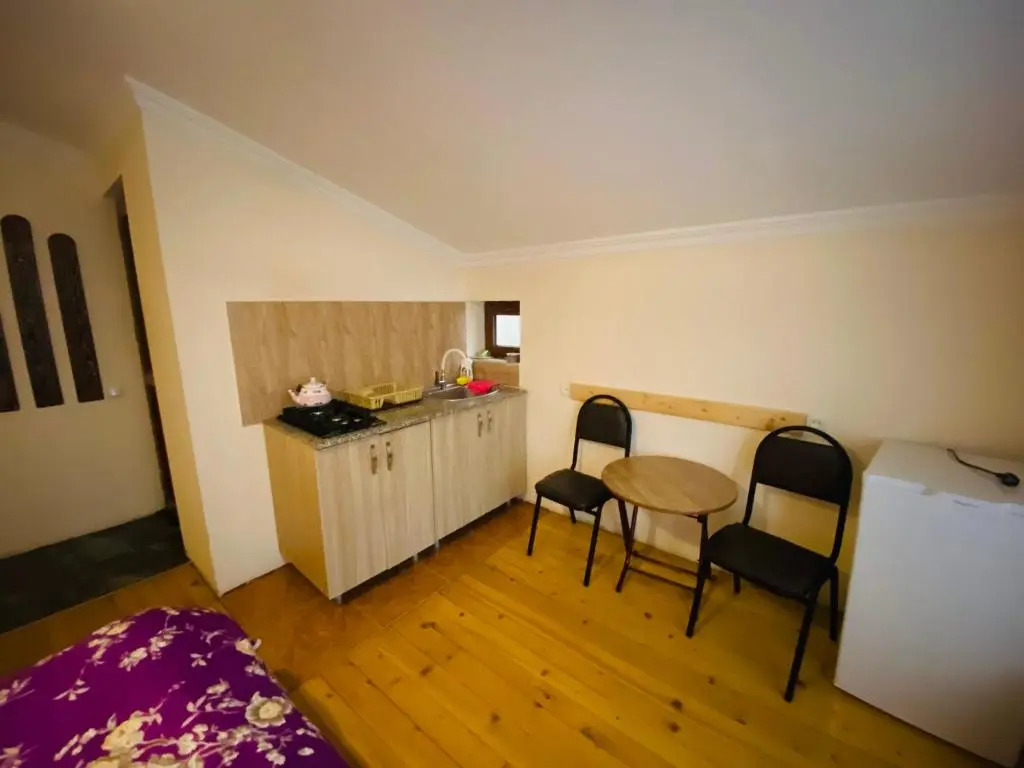 ბორჯომი საოჯახო სასტუმრო "გიომანი" Borjomi Guest House "GioMaNi" დასვენება ბორჯომში "GioMaNi"