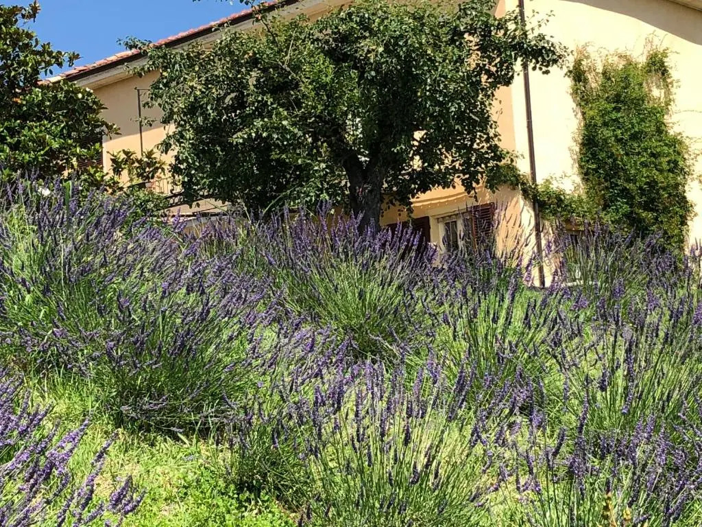 Cascina Vicentini