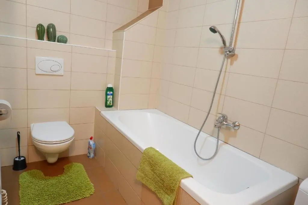 Apartman v centru mesta s vyhledem na Petra